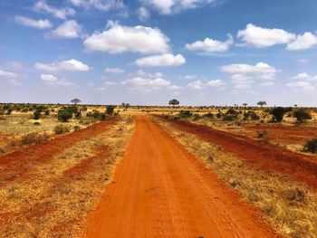 Road amidst agricultural landscape against sky