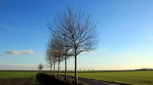 Country road on grassy field against cloudy sky