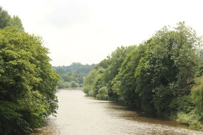 Scenic view of river amidst trees against clear sky