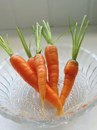 High angle view of vegetables on table