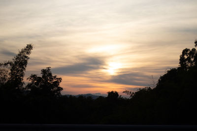 Low angle view of silhouette trees against sky at sunset