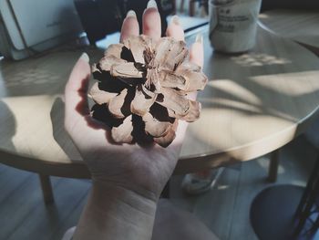 Close-up of hand holding flower