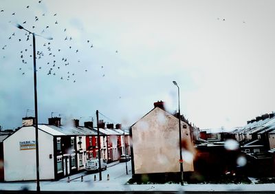 Birds flying over houses against sky