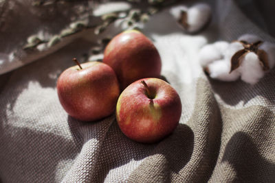 High angle view of apples on table