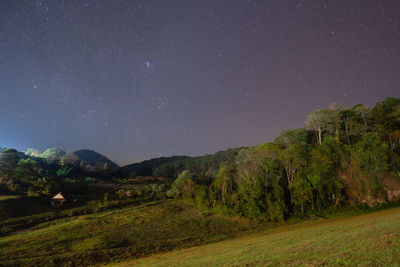 Scenic view of trees against sky at night