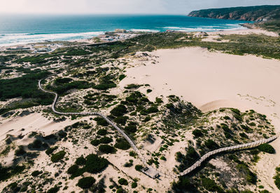 Aerial view of beach