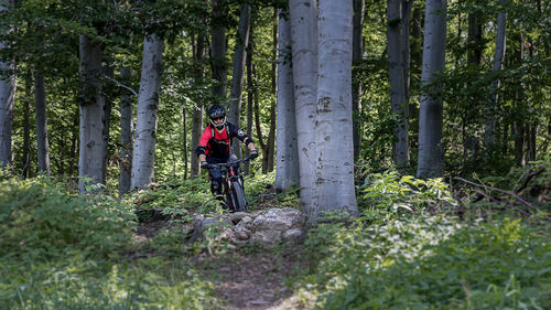 Man riding bicycle in forest