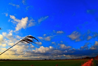 View of birds flying over landscape against blue sky