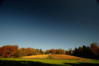 Scenic view of landscape against clear blue sky