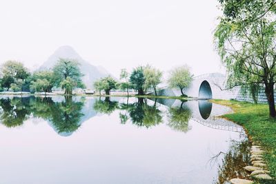 Reflection of trees in calm lake