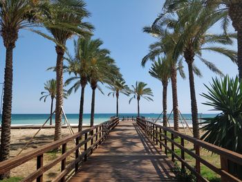 Palm trees by sea against sky