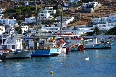 Boats moored in harbor at city