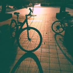 Shadow of man on bicycle