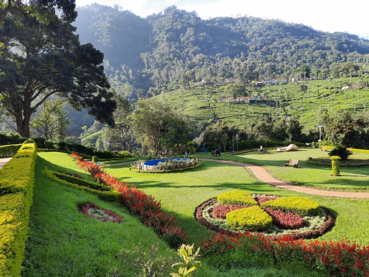 SCENIC VIEW OF GRASSY FIELD