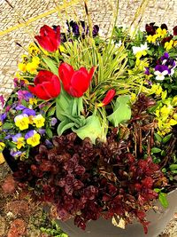 High angle view of flower bouquet