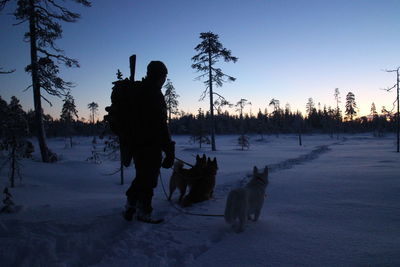 Rear view full length of man with dogs on snow covered field during sunset