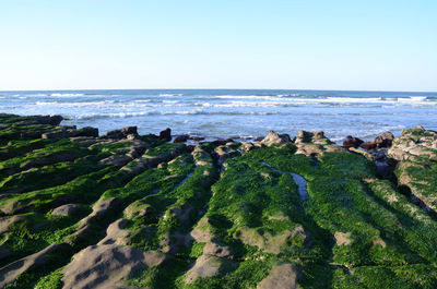 View of beach against clear sky