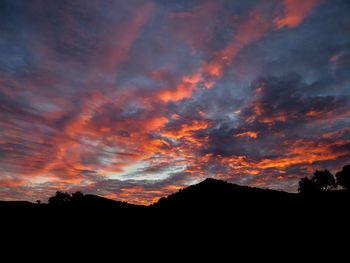 Silhouette of trees against dramatic sky