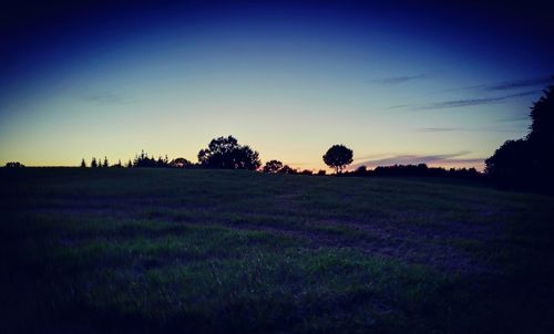 Scenic view of field against clear sky during sunset