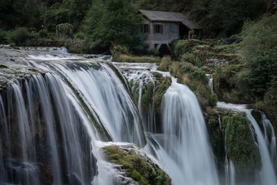 Scenic view of waterfall at forest