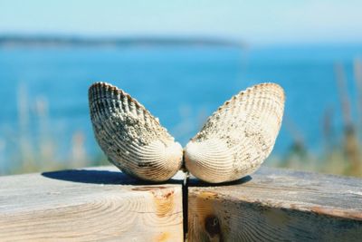 Close-up of rope on wooden plank