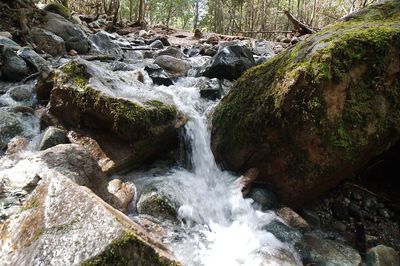 View of waterfall in forest