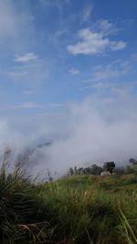 Scenic view of land against sky