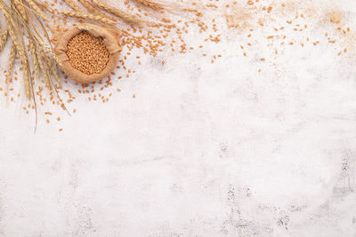 Directly above shot of bread on white table