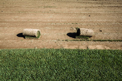 High angle view of text on field