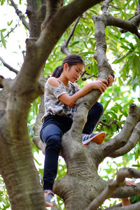 Low angle view of man standing on tree trunk in forest