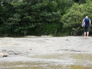 Rear view of men by river in forest