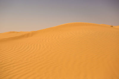 Sand dunes in desert