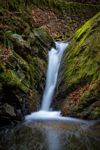 Scenic view of waterfall in forest