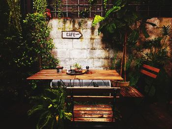 Empty bench on table in yard