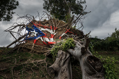 Low angle view of tree on field against sky