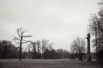 Bare trees on field