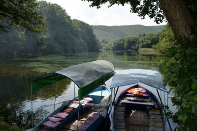 Boat moored by lake in forest against sky