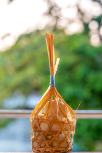 Close-up of fresh orange hanging from plant