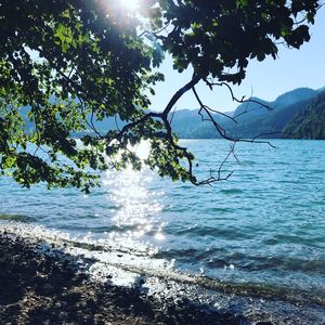 Scenic view of sea against sky on sunny day