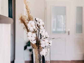 Close-up of white flowers in vase at home