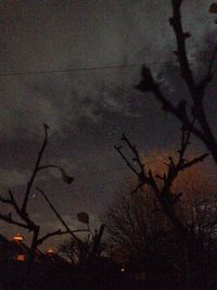 Low angle view of silhouette trees against sky at night