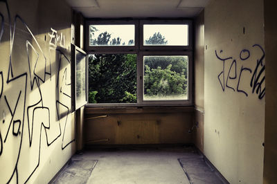 Trees seen through home window