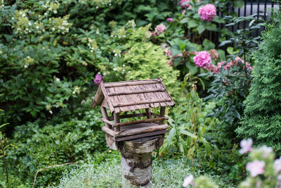 Birdhouse against plants