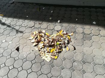 High angle view of dry leaves on footpath