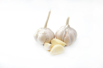 Close-up of eggs against white background