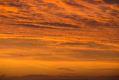 Scenic view of orange sky