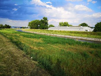 Scenic view of field against sky