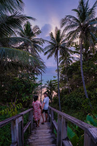 Rear view of people on palm trees