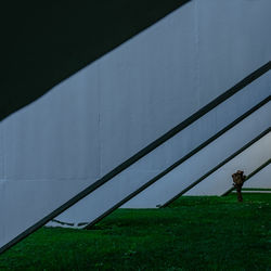 Man standing on field against wall