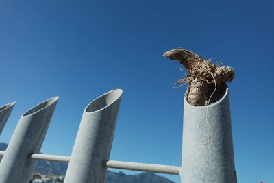 Low angle view of blue sky